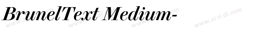 BrunelText Medium字体转换